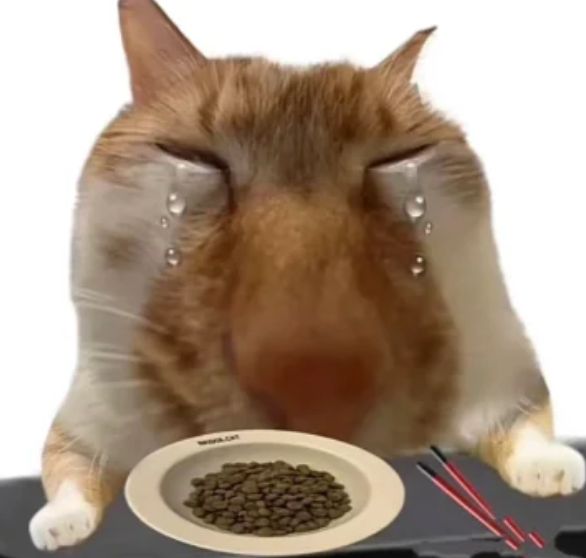 cat decoration