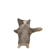 cat decoration
