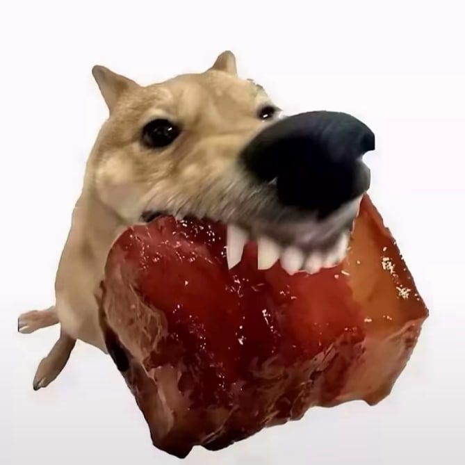 dog decoration